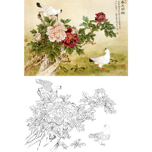 工笔花鸟白描底稿-俞致贞-牡丹鸽子《春光明媚》-斗方小品册页-多种白描尺寸可选-A511 商品图0