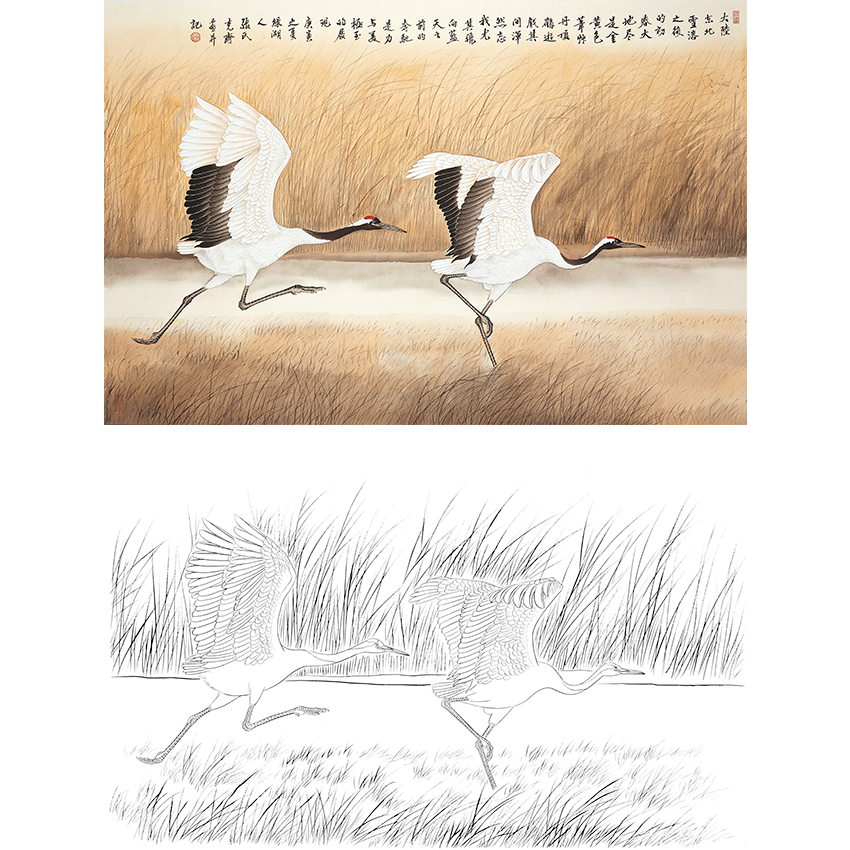 横幅工笔花鸟白描底稿-张克齐-仙鹤-A506
