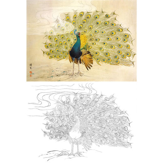 横幅工笔花鸟动物白描底稿-邹传安-孔雀-A513 商品图0