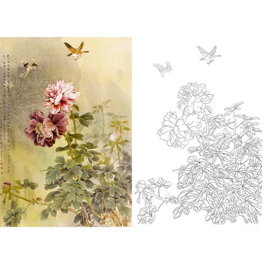 竖幅工笔花鸟白描底稿-邹传安-牡丹-A524 商品图0