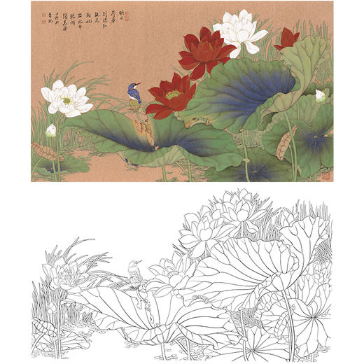 横幅工笔花鸟白描底稿-张克齐-荷花-a507 - 桔舍