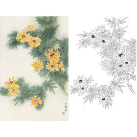 竖幅工笔花鸟白描底稿-龚文桢-A530