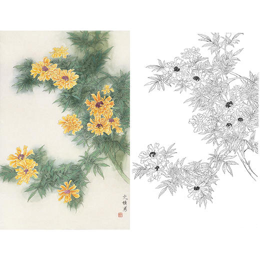 竖幅工笔花鸟白描底稿-龚文桢-A530 商品图0