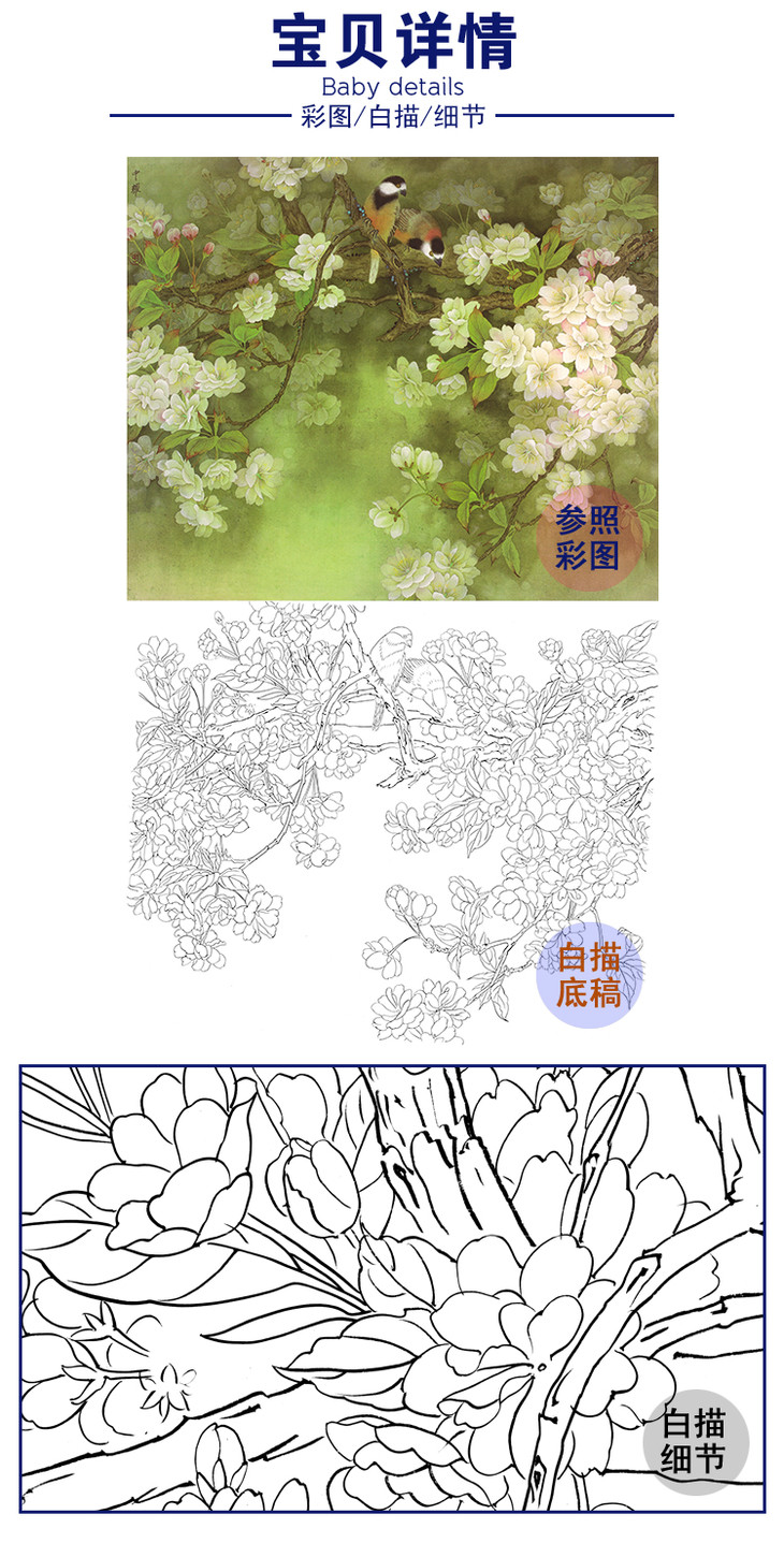 工笔花鸟白描底稿周中耀樱花斗方小品册页a517