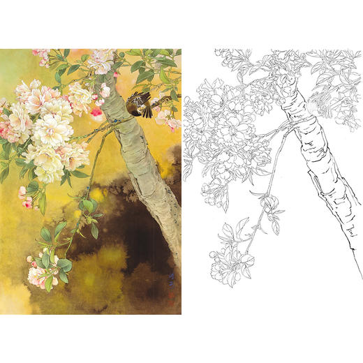 竖幅工笔花鸟白描底稿-邹传安-A542 商品图0