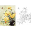 工笔花鸟白描底稿-邹传安-斗方小品册页-A547 商品缩略图0