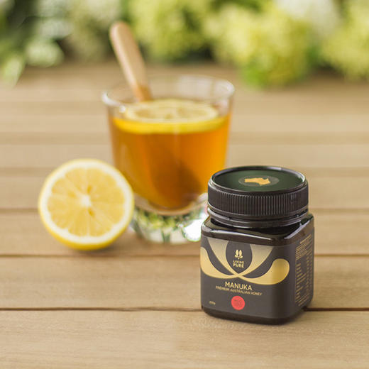 丽珀澳大利亚麦卢卡蜂蜜100+ 商品图5