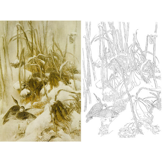 竖幅工笔花鸟白描底稿-荷花-A525 商品图0