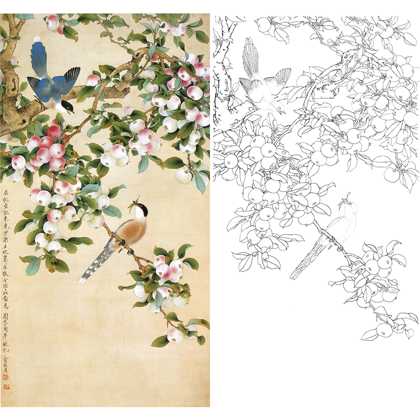 俞致贞竖幅工笔花鸟白描底稿《沙果山鹊》-多种白描尺寸可选-A522