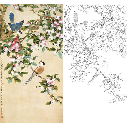 俞致贞竖幅工笔花鸟白描底稿《沙果山鹊》-多种白描尺寸可选-A522 商品图0