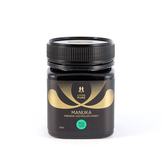 丽珀澳大利亚麦卢卡蜂蜜120+ 商品图6