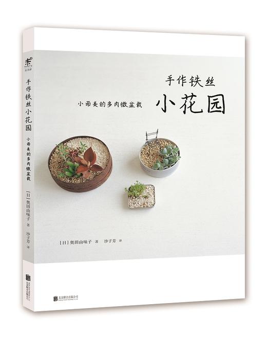 手作铁丝小花园 : 小而美的多肉微盆栽 商品图0