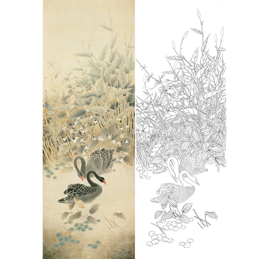 竖幅工笔花鸟白描底稿-天鹅-A550