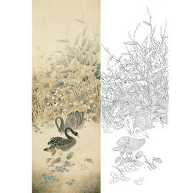 竖幅工笔花鸟白描底稿-天鹅-A550