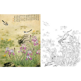 工笔花鸟白描底稿-俞致贞《鸢尾扑春图》-斗方小品册页-多种白描尺寸可选-A546