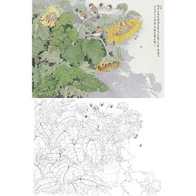 工笔花鸟白描底稿-张克齐-向日葵-斗方小品册页-A505