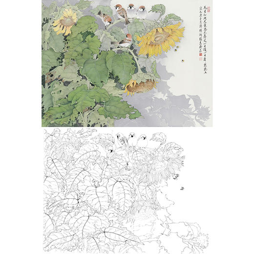 工笔花鸟白描底稿-张克齐-向日葵-斗方小品册页-A505 商品图0