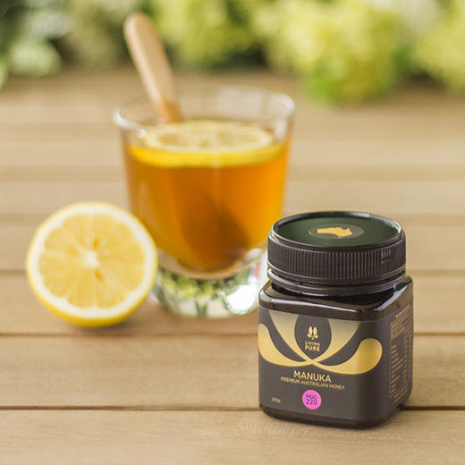 丽珀澳大利亚麦卢卡蜂蜜220+ 商品图0