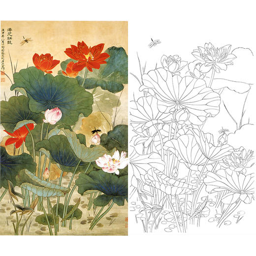 竖幅工笔花鸟白描底稿-俞致贞-荷花《泽芝红艳》-多种白描尺寸可选-A520 商品图0
