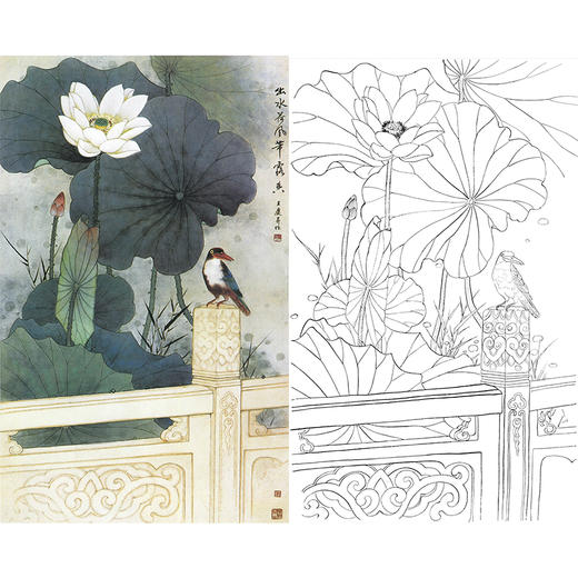 竖幅工笔花鸟白描底稿-王庆升荷花《出水荷风带露香》-多种白描尺寸可选-A538 商品图0