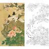 竖幅工笔花鸟白描底稿-喻继高-牡丹鸽子-A528 商品缩略图0