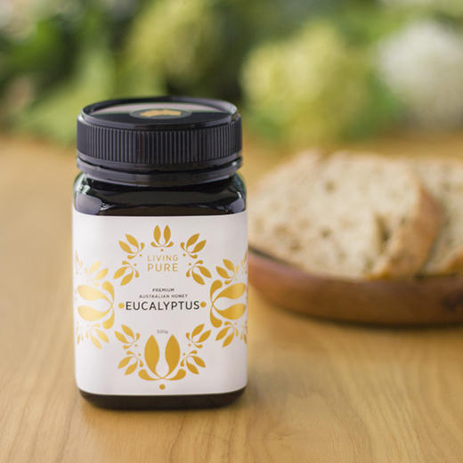 丽珀澳大利亚蜂蜜-500g 棕瓶 商品图0