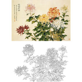工笔花鸟白描底稿-俞致贞-花卉菊花《欣欣向荣》-斗方小品册页-多种白描尺寸可选-A512