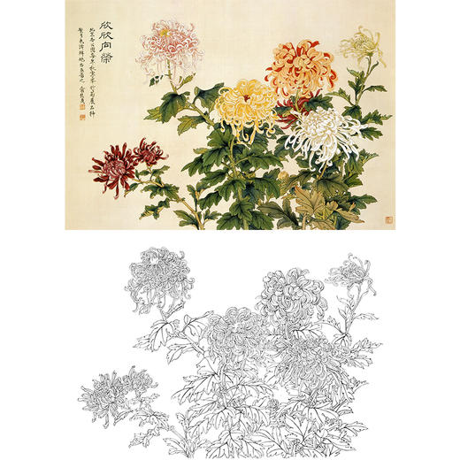 工笔花鸟白描底稿-俞致贞-花卉菊花《欣欣向荣》-斗方小品册页-多种白描尺寸可选-A512 商品图0