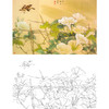 横幅工笔花鸟白描底稿-邹传安-A508 商品缩略图0