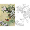 竖幅工笔花鸟白描底稿-金鸿钧牡丹锦鸡-A537 商品缩略图0