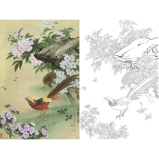 竖幅工笔花鸟白描底稿-金鸿钧牡丹锦鸡-A537 商品图0