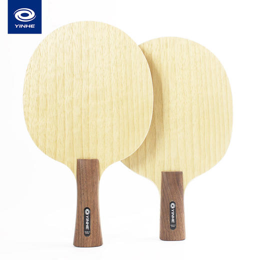 (活动专用)国球汇限定汇星乒乓球板 横板fl柄