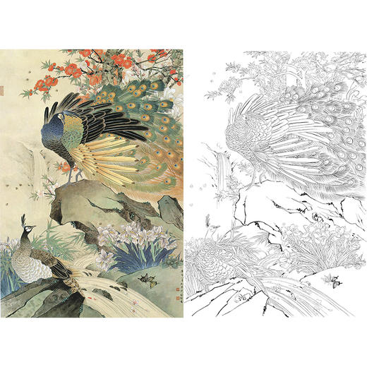 竖幅工笔花鸟白描底稿-喻继高《孔雀戏春》-多种白描尺寸可选-A526 商品图0