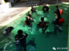 不做矫情狗，只想出去走——PG考证团第二波来袭 商品缩略图6