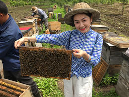 欢姑娘黑蜂椴树雪蜜黑蜂酿的白蜂蜜 国家地理标志产品。