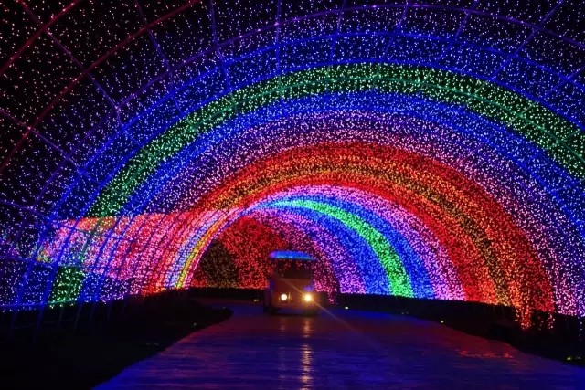 299元秀丽东方灯光节特惠