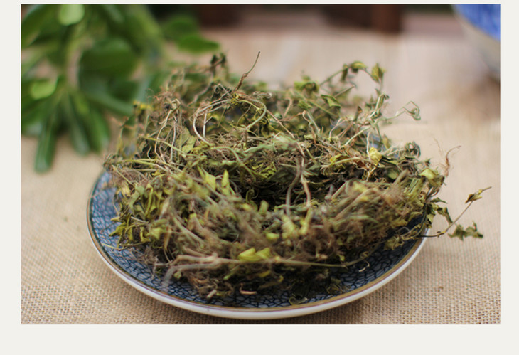 【食材】寿宁野生过路蜈蚣 金毛耳草/黄毛耳草 500g