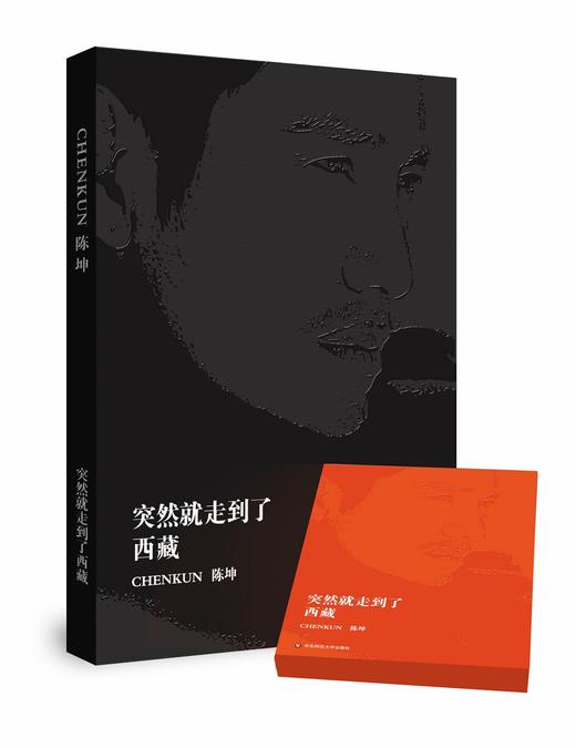 突然就走到了西藏珍藏套装 赠DVD 纪念徽章 海报 明信片 陈坤处女作 商品图1