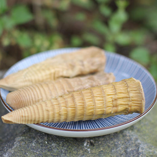 【特产食材】精选寿宁野生笋干 真正野味 250g 商品图1