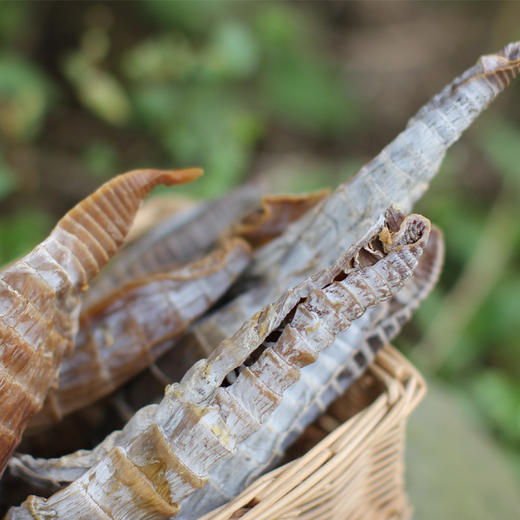 【特产食材】精选寿宁野生笋干 真正野味 250g 商品图2
