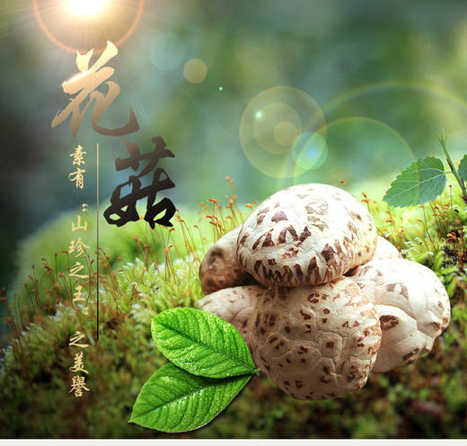 【食材菌菇】精选寿宁极品花菇 山珍之美誉 非常香 250g 商品图1