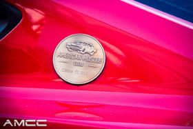 定制：AMCC会标，贴车用（一对），带会员编号，约20天发货