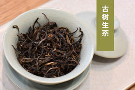 入门级古树普洱茶，250g盒装散茶，景迈山古树纯料，陈香、樟木香