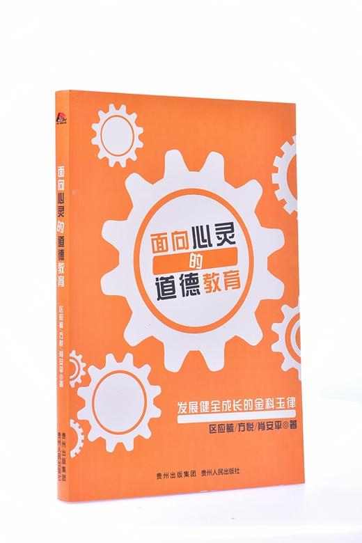 面向心灵的道德教育：发展健全成长的金科玉律 平装 商品图1