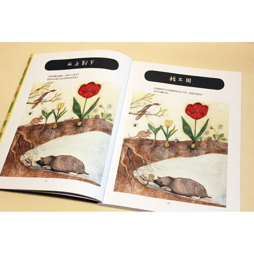 亲近大自然（上海5号仓） 商品图1