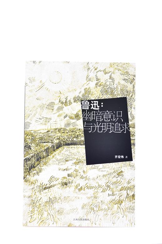 鲁迅:幽暗意识与光明追求 平装  齐宏伟 (作者) 商品图1