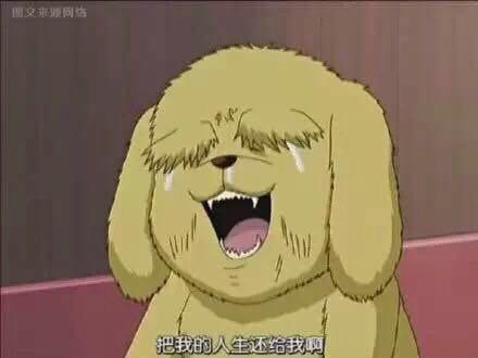 南南南南南 商品图0