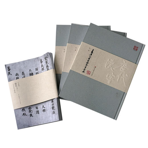 日藏唐代汉字抄本字形表 全三册精装 随书附赠高精度复制拉页 臧克和 海村惟一 唐代钞本国宝 商品图1