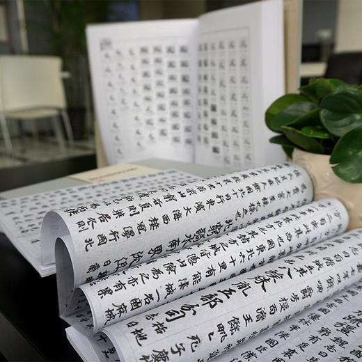 日藏唐代汉字抄本字形表 全三册精装 随书附赠高精度复制拉页 臧克和 海村惟一 唐代钞本国宝 商品图2