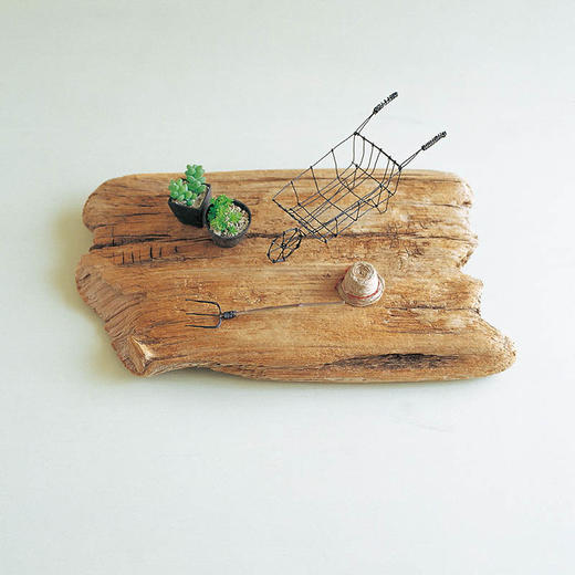 手作铁丝小花园 : 小而美的多肉微盆栽 商品图2